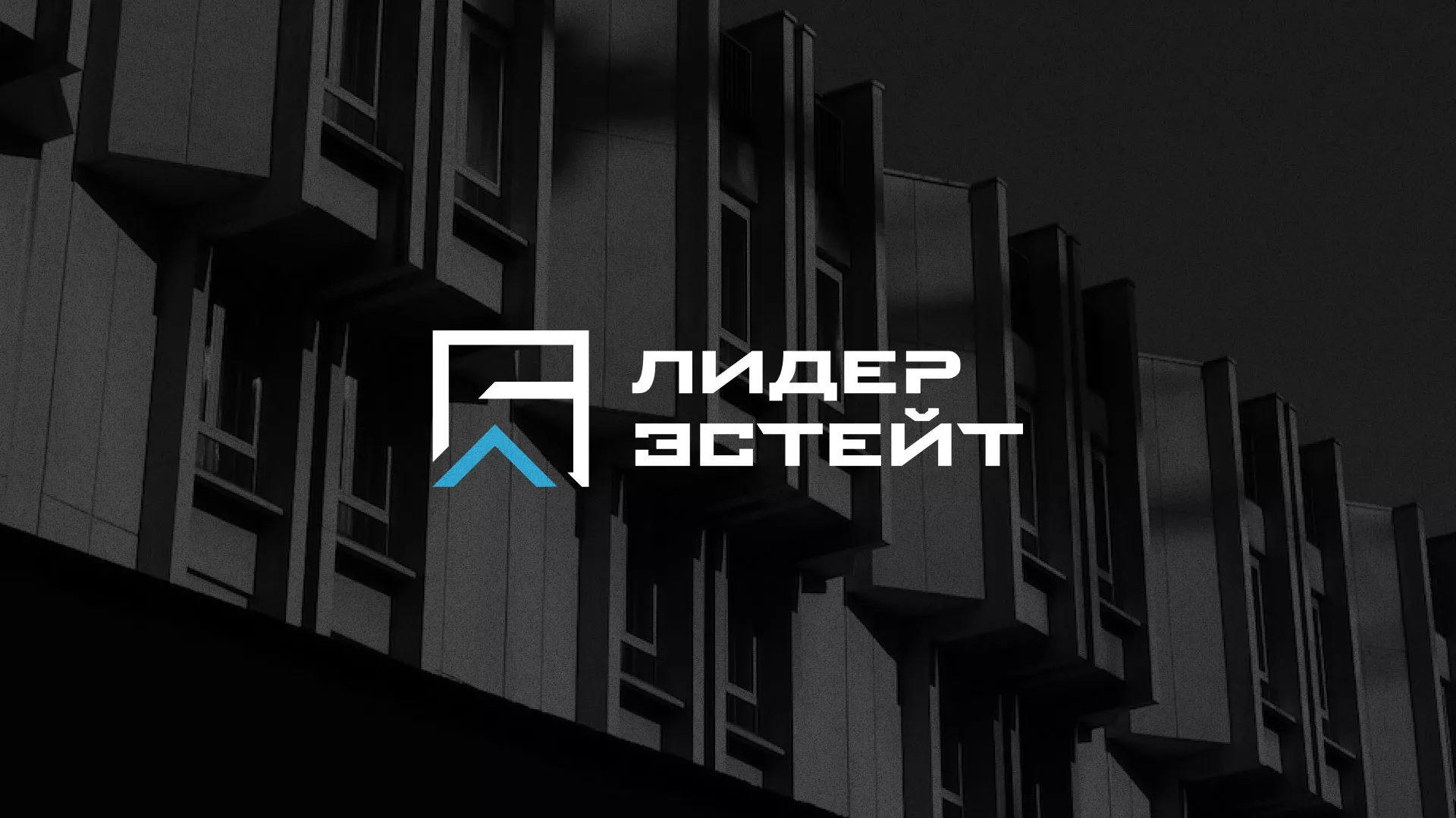 Разработка логотипа агентства недвижимости «Лидер Эстейт» в Калаче-на-Дону